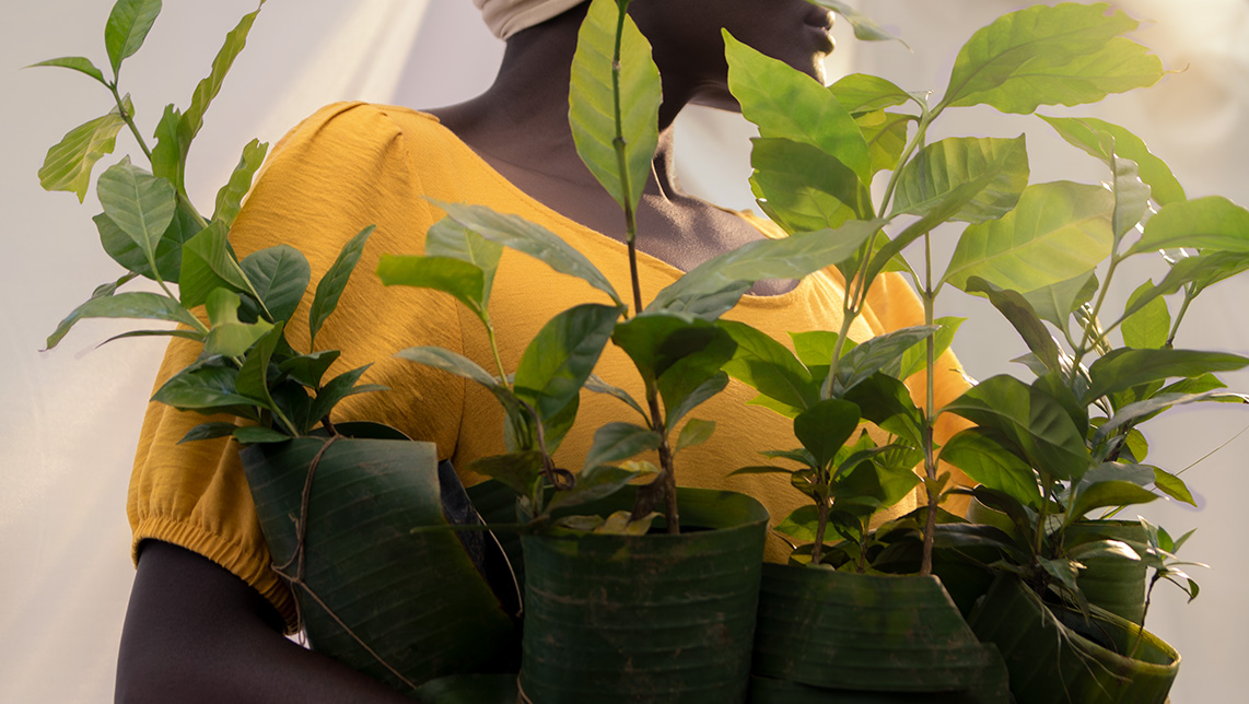 Imagen del artículo Orgullosos de ser B Corp: nuestro café con propósito, letra a letra. 