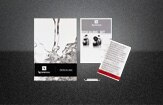 Descaling kit Concept Line