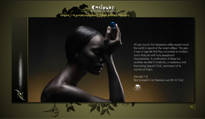 Special Club 2006 Ensibuko