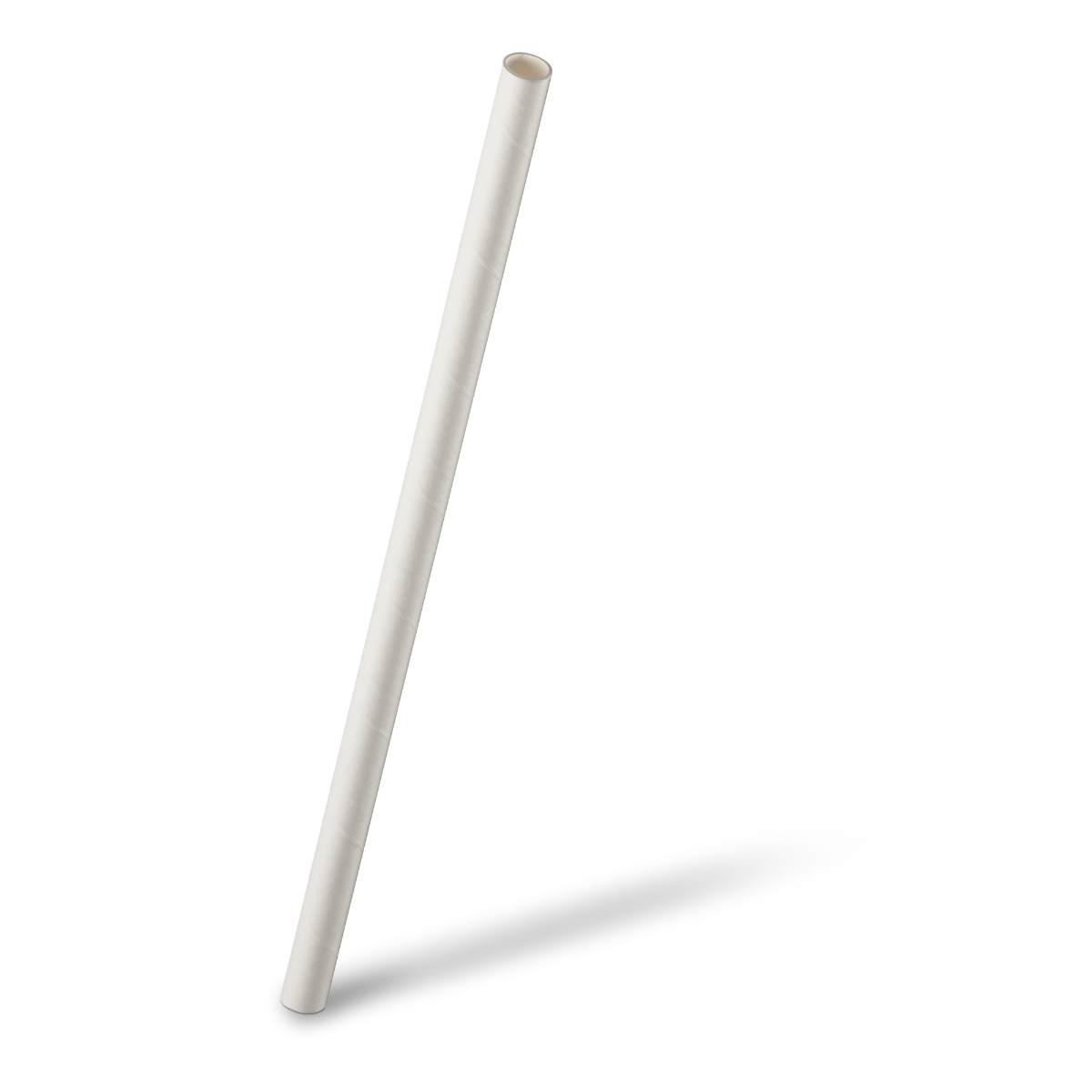 Paper Straws (100 pieces)