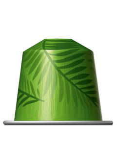 Rio de Janeiro Espresso