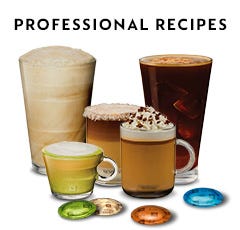 PROFESSIONAL RECIPES