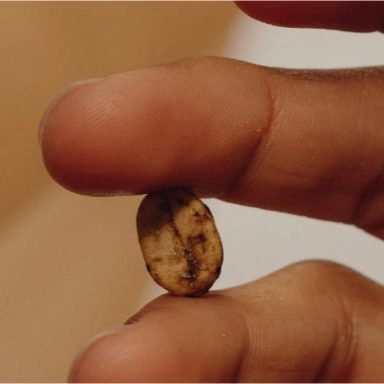 Visual alternative text