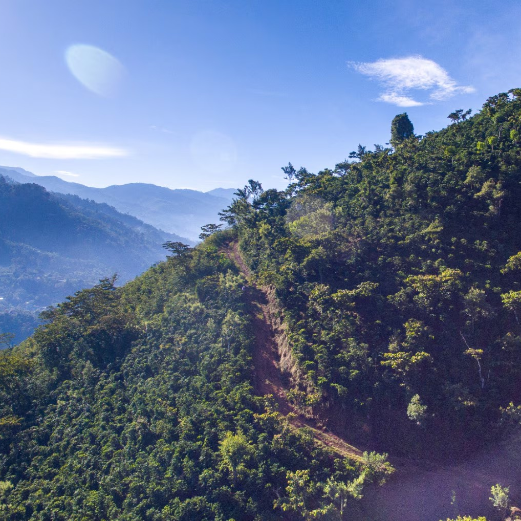 Visual alternative text