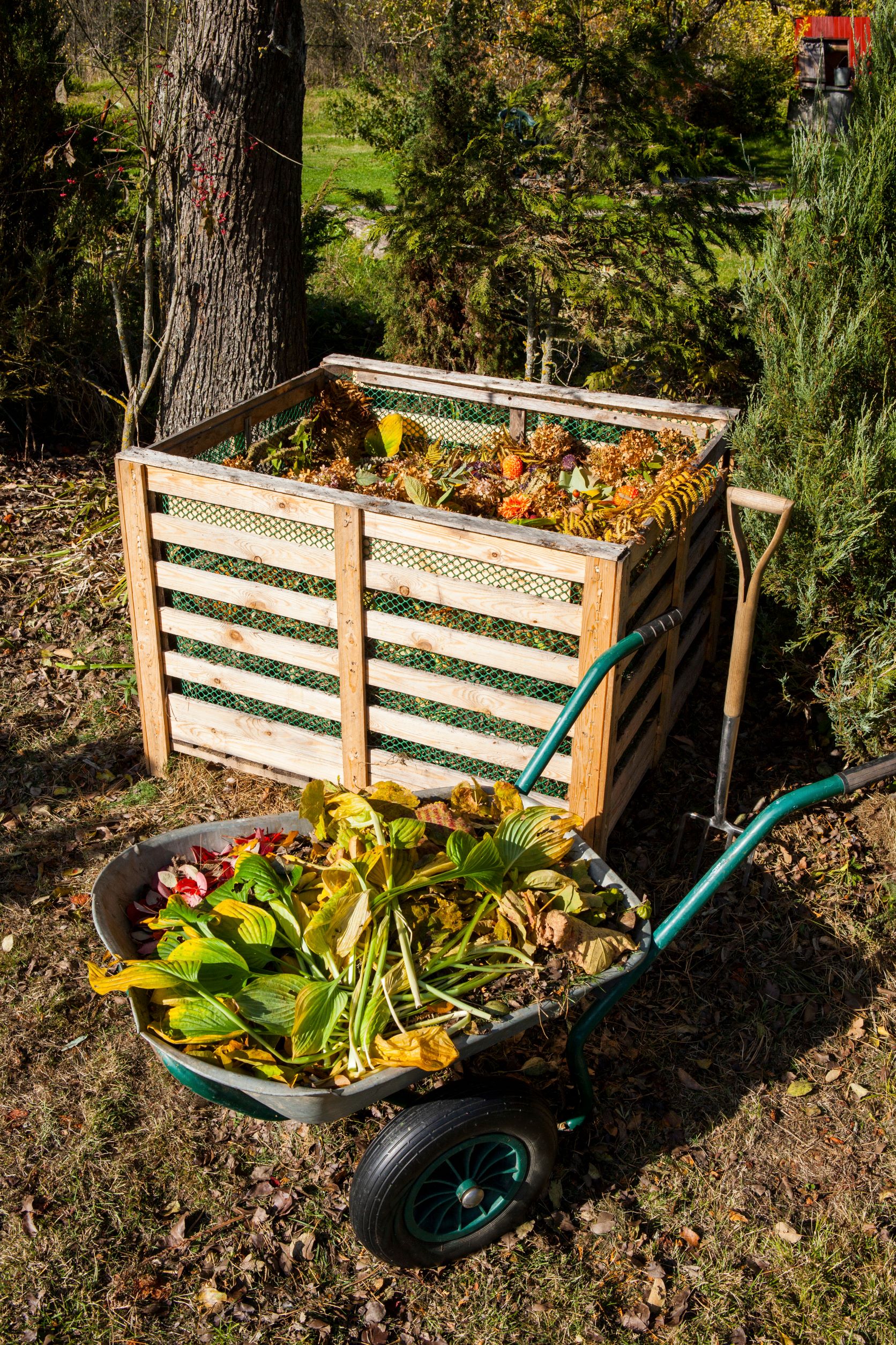 Brass compost : qu'est-ce que c'est et quelle est son utilité ?