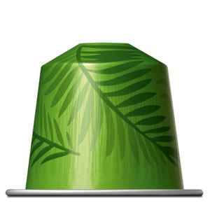 Rio De Janeiro Espresso | Capsules | Nespresso Bahrain Rio De Janeiro Espresso | Capsules | Nespresso Bahrain