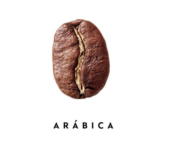 Café Arábica