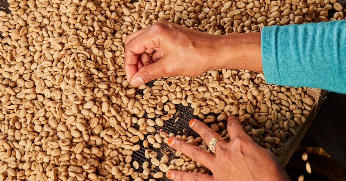 Nuevas cápsulas de café Go con extra de cafeína de Nespresso