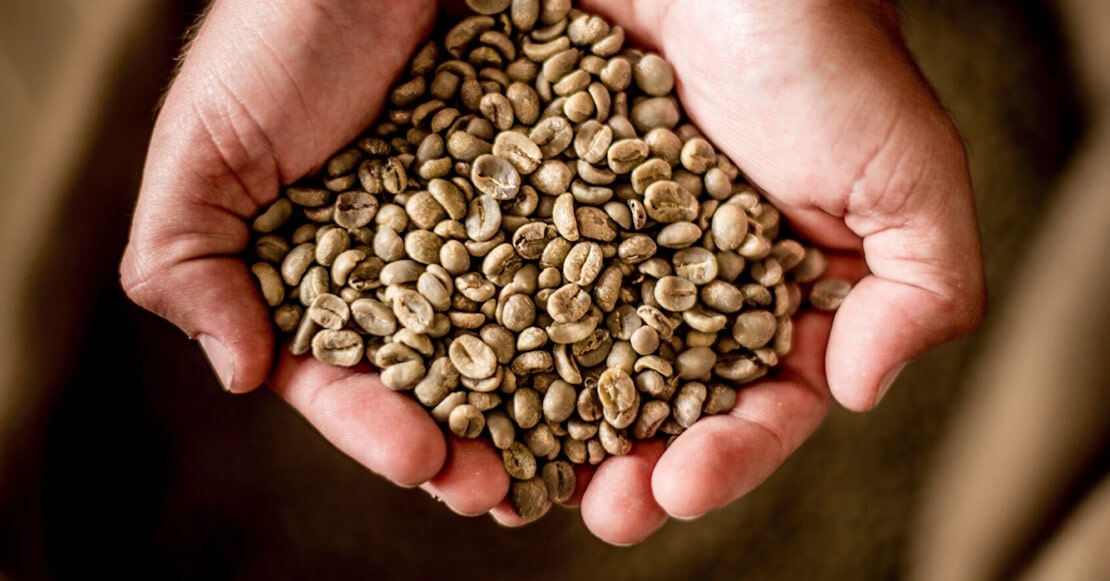 Distinguir el café de calidad a través de su aroma