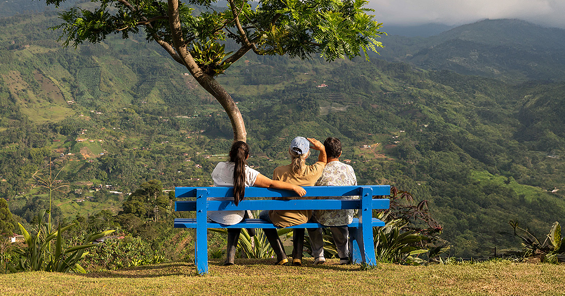 Conoce el origen del café colombiano