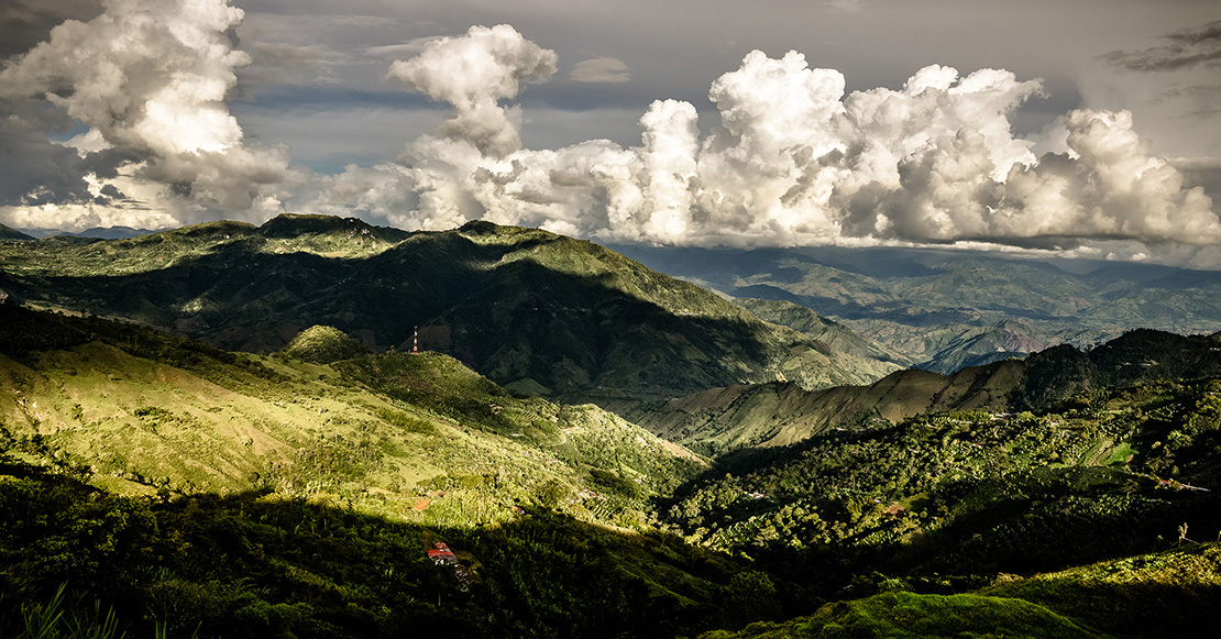Los efectos del cambio climático en el cultivo de café