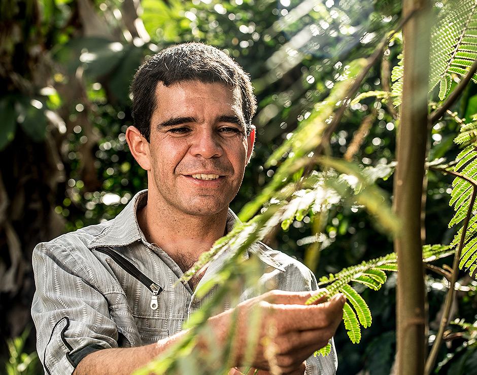 Agricultor de café