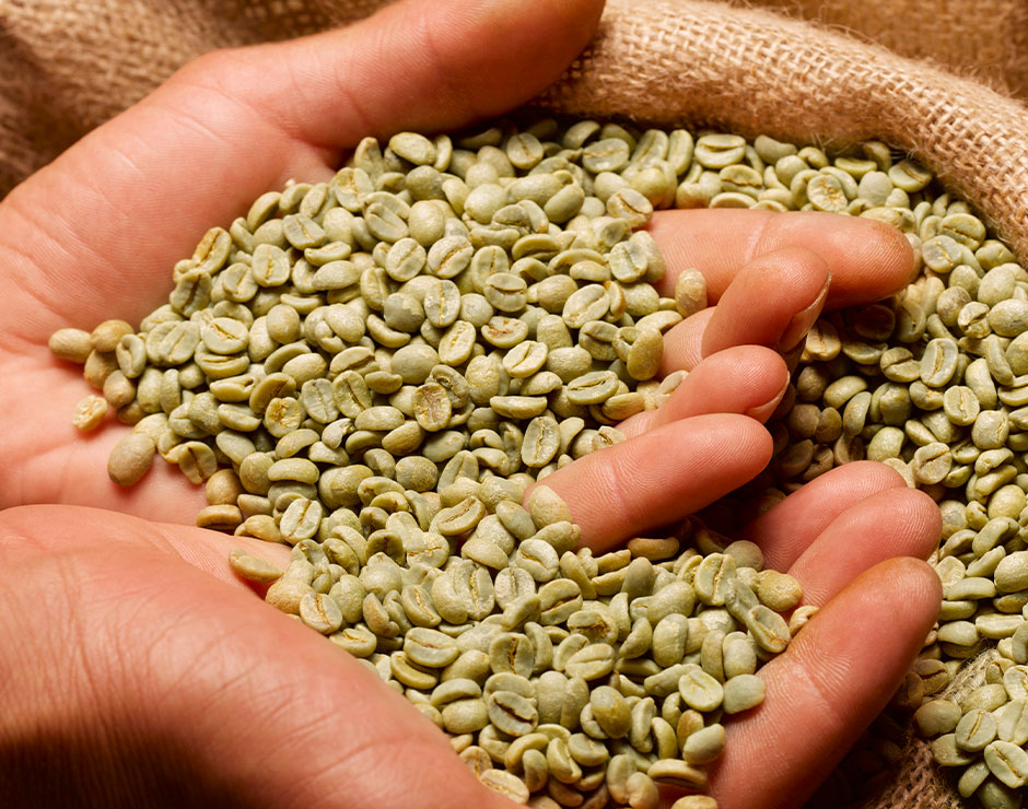 Manos llenas de granos de café sin tostar