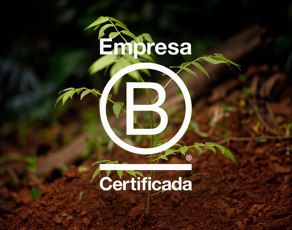 Imagen del logotipo de empresa certificada sobre agricultura regenerativa
