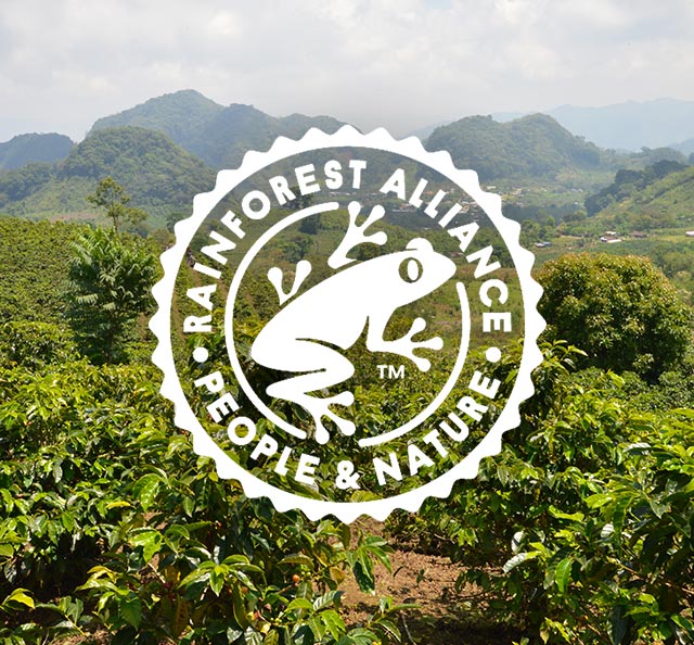 Logotipo de Rainforest Alliance