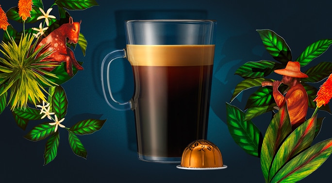 Ethiopia Harrar Arabica Coffee Capsule Pod Nespresso USA