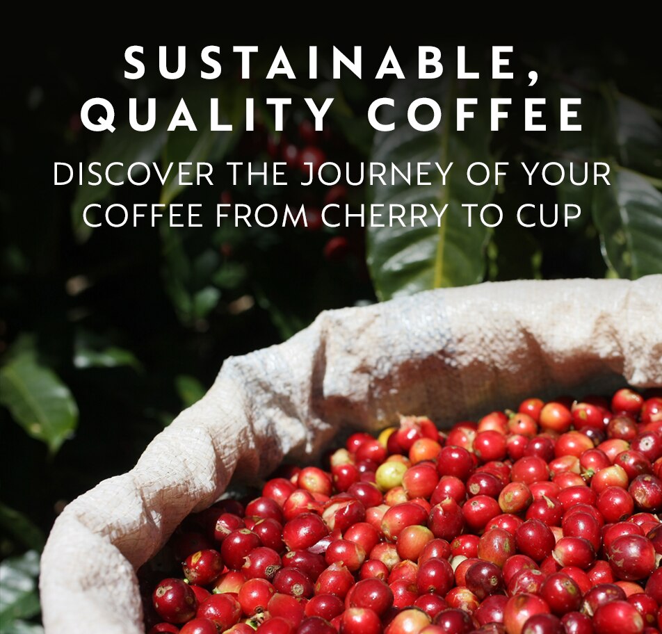 tartan plaid backpack