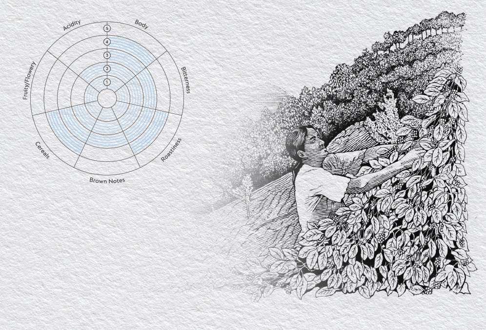 Aromatic profile of the Nepal Lamjung coffee capsule