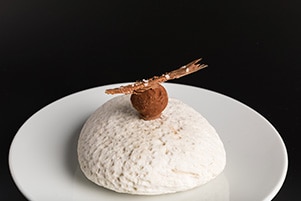 El descarte del bocarte