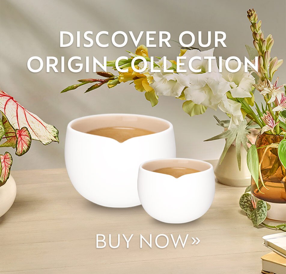 Nespresso Offers \u0026 Promotions | Coffee 