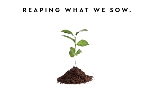 Recycling Used Coffee Grounds Recycling Used Coffee Grounds