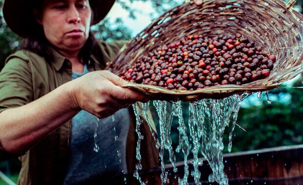 Atención al Cliente | Nespresso ™