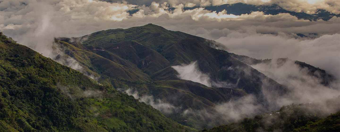 retrouvez tous nos engagements en faveur du développement durable et de l’économie circulaire sur Nespresso.com/agit