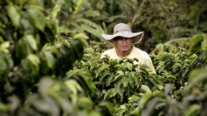 Cápsulas de Café Compatibles con Nespresso