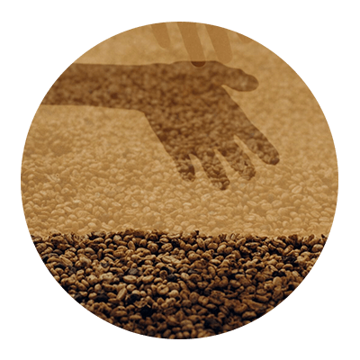 Exceptional Quality Coffee