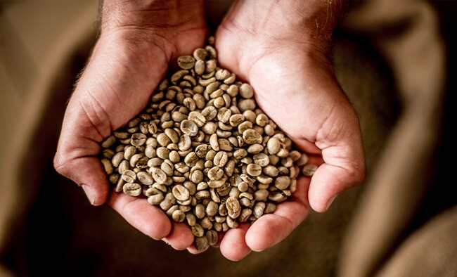 Which Coffee Beans Are Better for Espresso: Arabica or Robusta