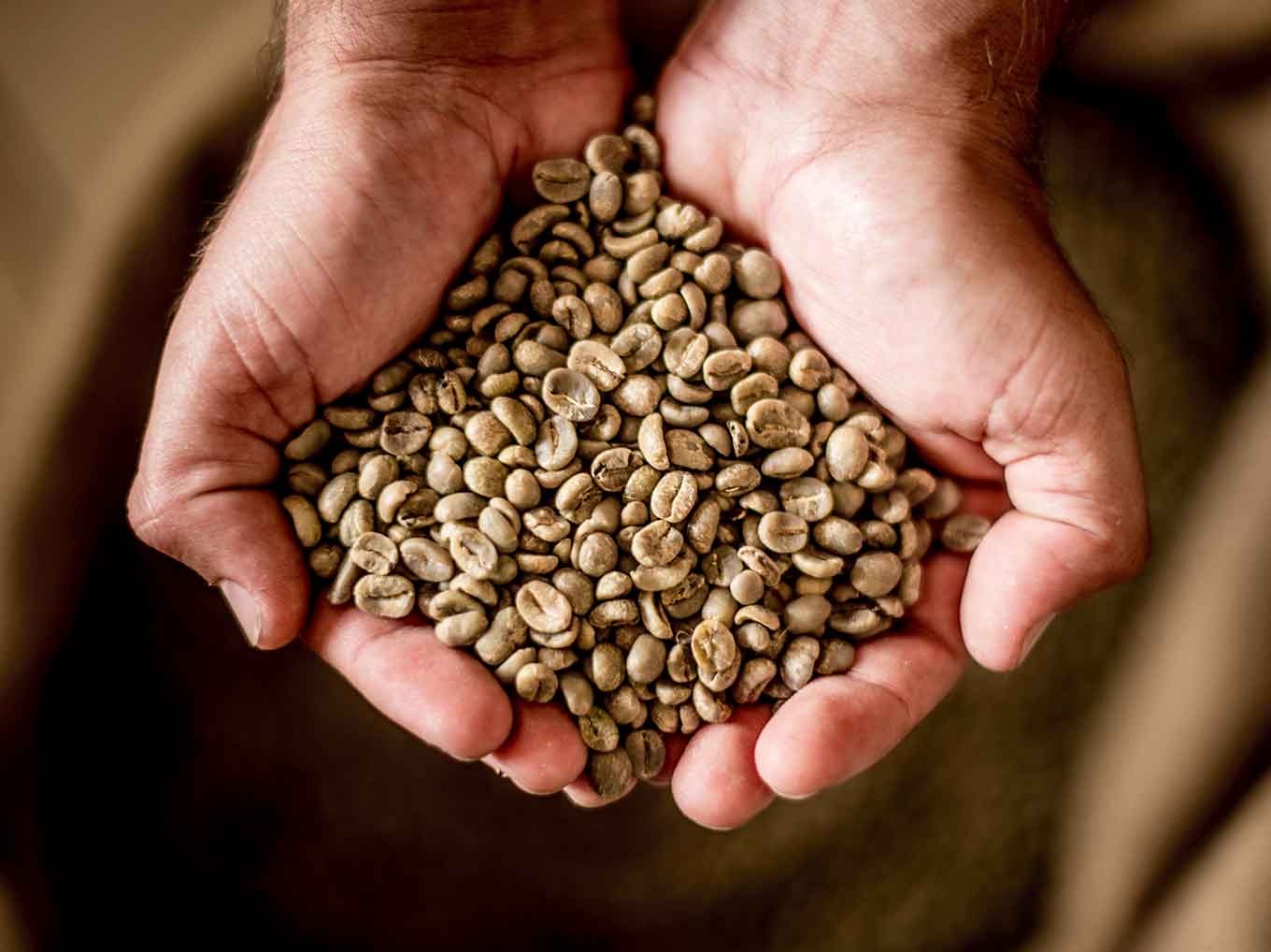 grains de café nespresso pour café Stockholm Lungo