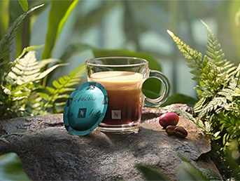 Indonesia Coffee Capsules - Origins Coffee - Nespresso™ Pro SG