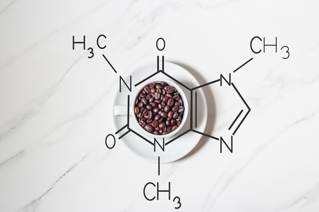 ดื่มกาแฟตอนเช้า ลดความอ้วนได้เพราะในกาแฟมีสารสำคัญที่ช่วยลดความอ้วน