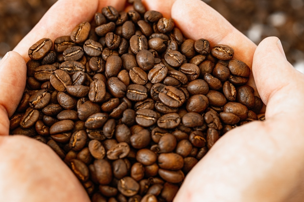 กาแฟคั่วกลาง