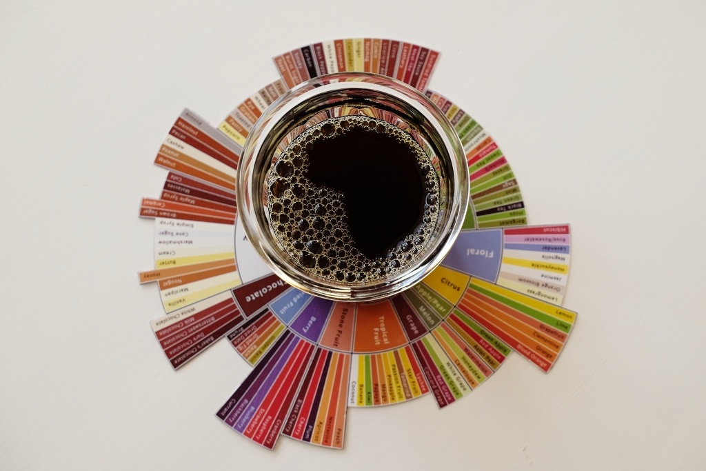 วงล้อรสชาติช่วยให้นักชิมกาแฟนึกภาพรสชาติได้แม่นยำขึ้น