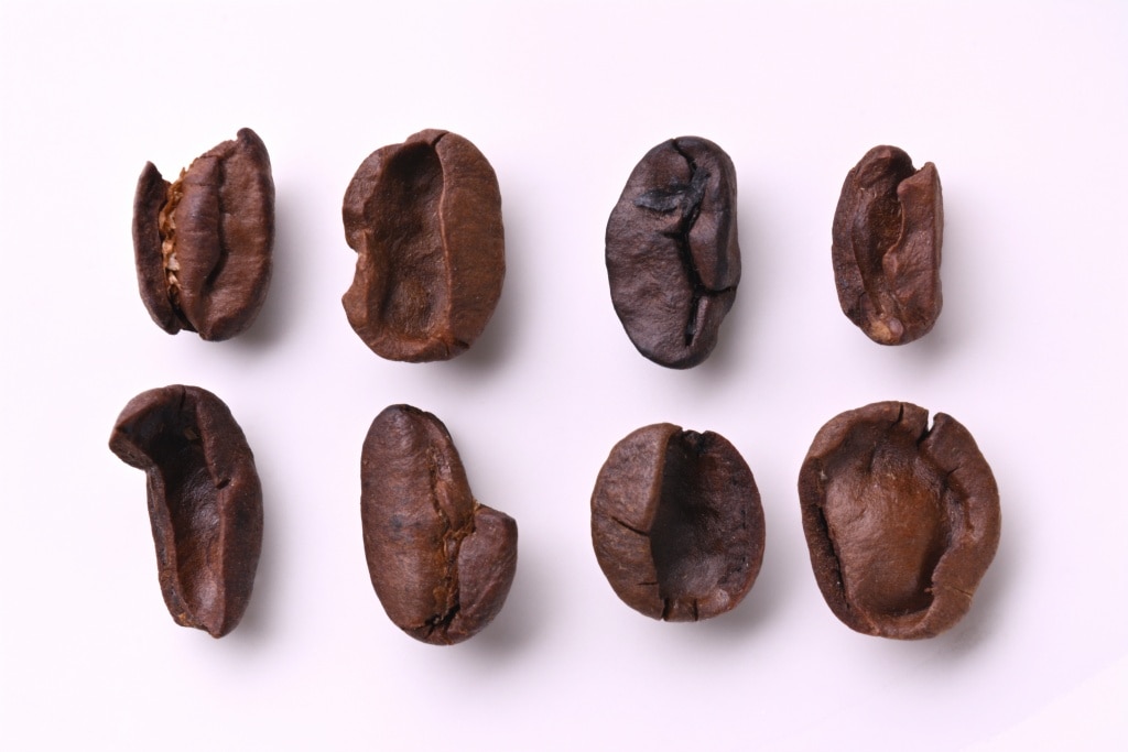 กาแฟแบบไหนเหมาะกับการทำกาแฟสกัดเย็น