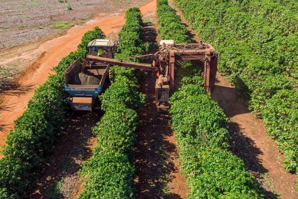 เมล็ดกาแฟ Single Origin มีแหล่งเพาะปลูกที่แตกต่างกัน