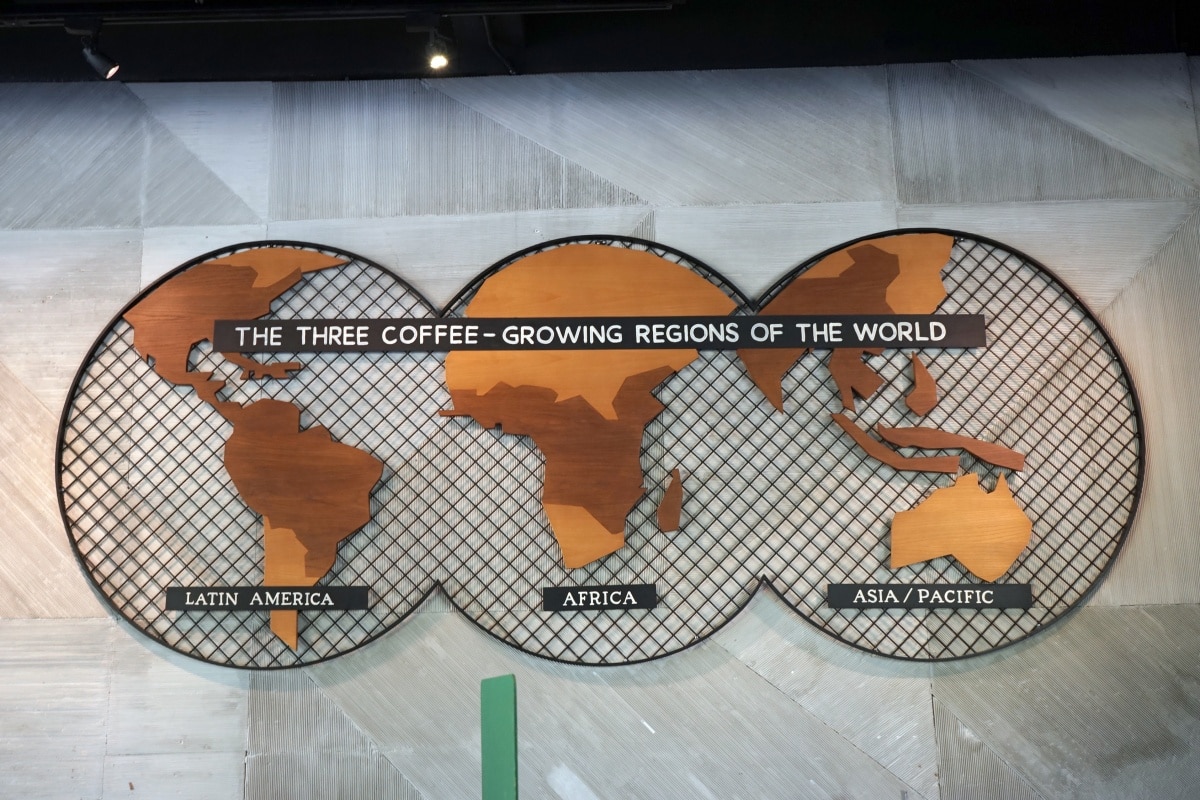 Coffee Belt คืออะไร? ทำไมถึงเป็นแหล่งผลิตกาแฟหลักของโลก