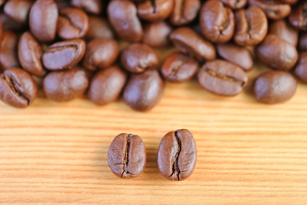 Coffee Belt มีการแบ่งพื้นที่การปลูกคือ Arabica และ Robusta