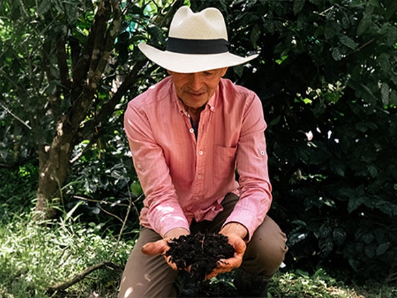 Colombia Organic 50 Capsule Box - Origins - Nespresso™ Australia