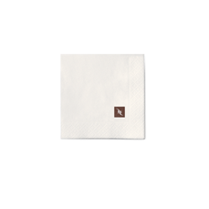 Paper Napkins 12 x 12 cm (70 pcs)