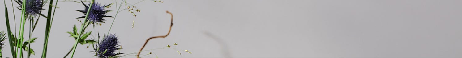 موزع الكبسولات