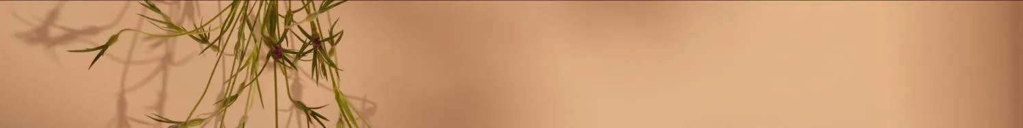 إعادة التدوير