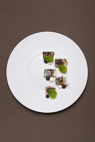 Maquereau au Grand Cru Vivalto Lungo 2