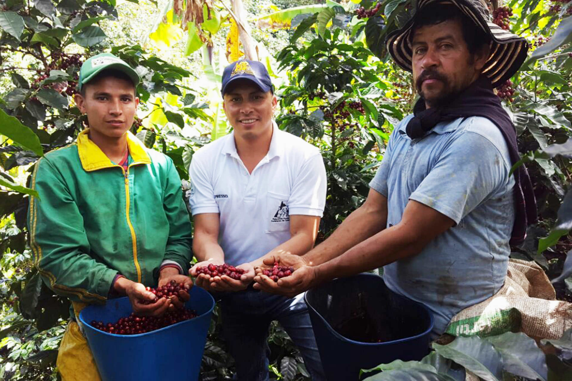 &nbsp;צילום של חקלאים ואגרונומים