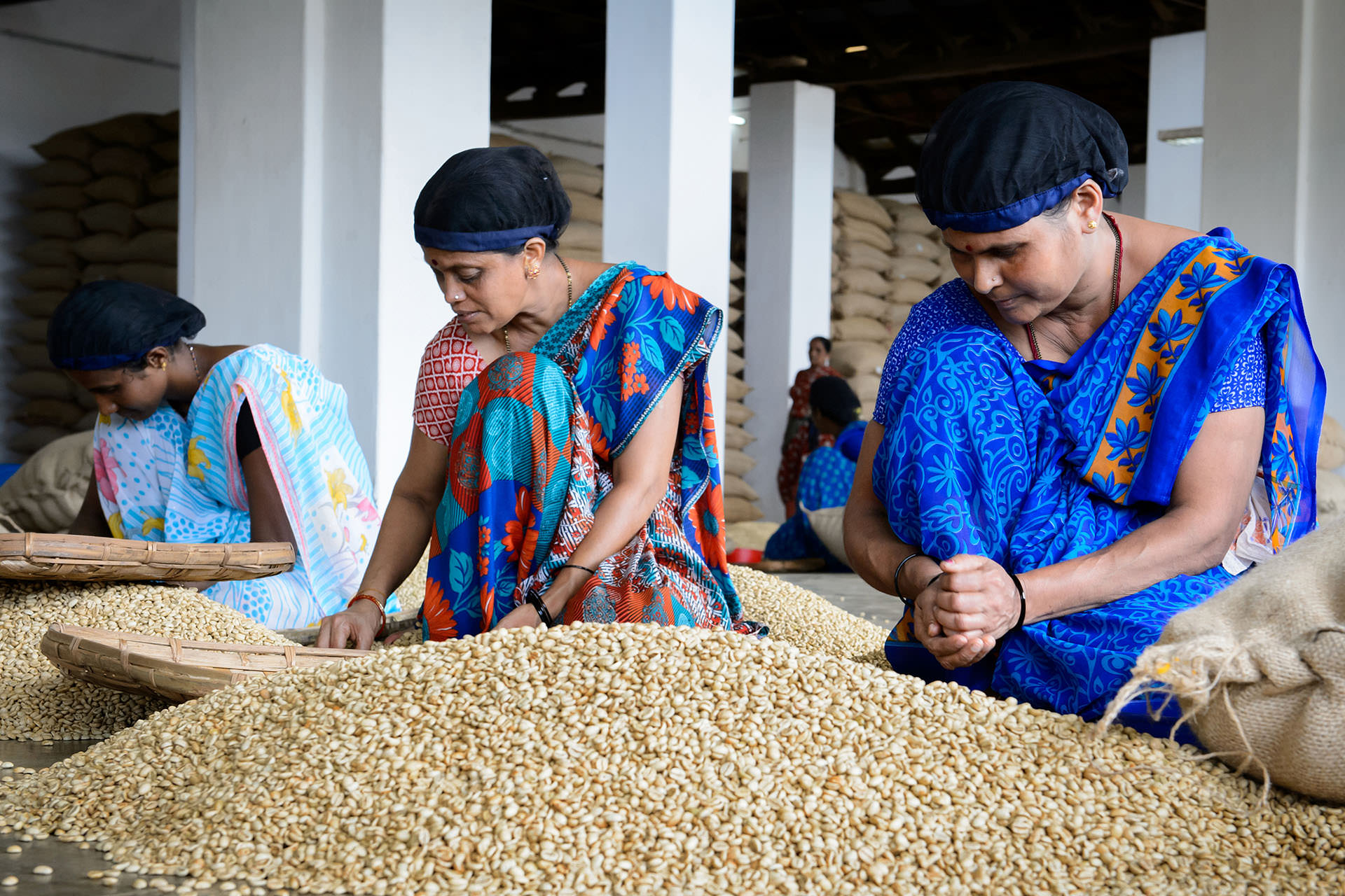 &nbsp;צילום של אישה ממיינת קפה