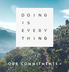 Commitments