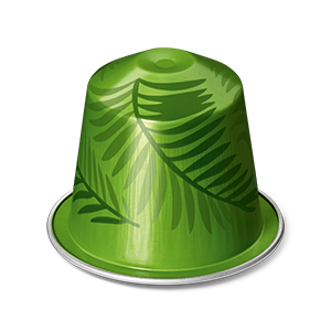 اسبريسو ريو دي جينيرو