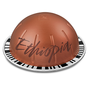 ماستر أوريجينز إثيوبيا