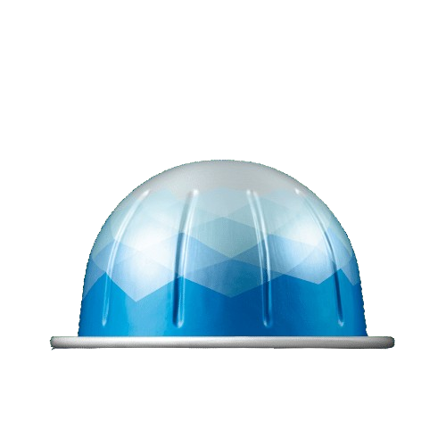ICE FORTE